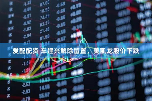 爱配配资 车建兴解除留置，美凯龙股价下跌