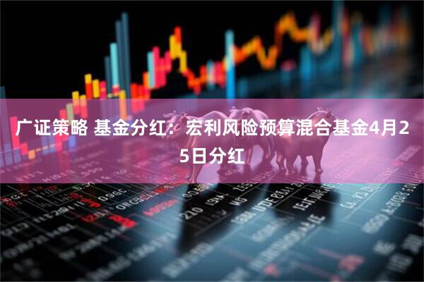 广证策略 基金分红：宏利风险预算混合基金4月25日分红