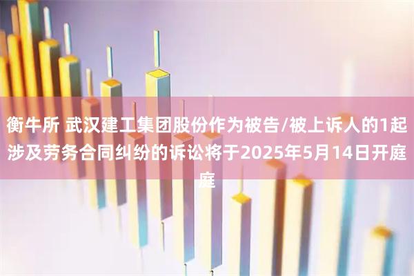衡牛所 武汉建工集团股份作为被告/被上诉人的1起涉及劳务合同纠纷的诉讼将于2025年5月14日开庭