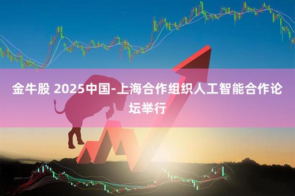 金牛股 2025中国-上海合作组织人工智能合作论坛举行