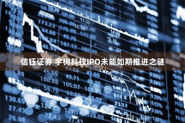 信钰证券 宇树科技IPO未能如期推进之谜